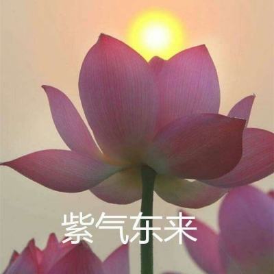 女神猛将传h5手游下载